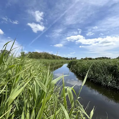 Ela - 1-1km From The Sea By Interhome Gorlev